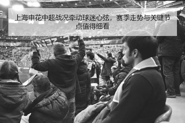 img_1781085449247_20_2_300.jpg